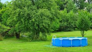 una bañera azul sentada en la hierba junto a un árbol en Nasz Dębowiec - dom dla 15 osób, sauna, widok na staw, wielka działka, en Dębowiec