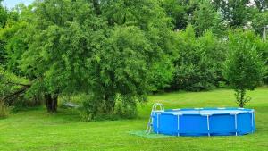 Zahrada ubytování Nasz Dębowiec - dom dla 15 osób, sauna, widok na staw, wielka działka