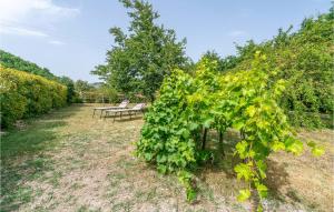 A garden outside Cozy Home In Barberino Del Mugello