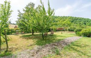 A garden outside Cozy Home In Barberino Del Mugello