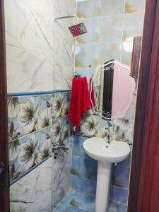 een badkamer met een wastafel en een spiegel bij Four Seasons In Maadi in Caïro