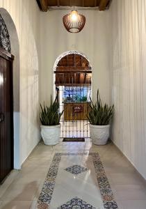 um corredor com dois vasos de plantas em frente a uma porta em HOTEL PLAZA BOLIVAR MOMPOX ubicado en el centro histórico con parqueadero interno em Santa Cruz de Mompox