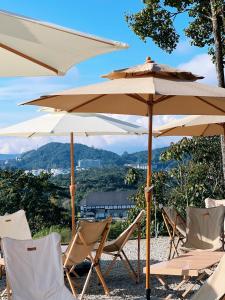 a group of chairs and umbrellas on a beach at Stellar GoldenHill Cameron in Tanah Rata