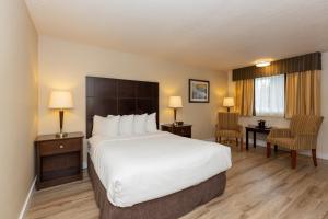 Postel nebo postele na pokoji v ubytování Quality Inn & Suites + 26 fotografií