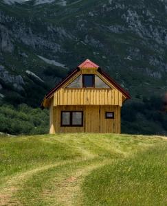 Priroda u blizini kampa