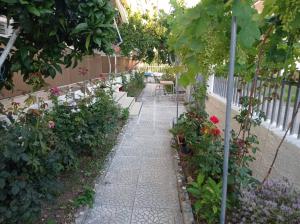 Zahrada ubytování Villa Froso