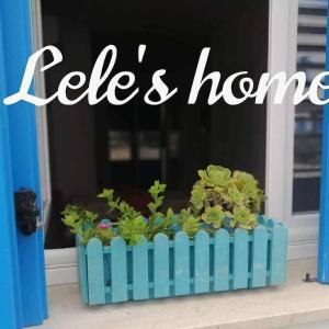 a blue container filled with plants in front of a window at Lele's Home in Favignana