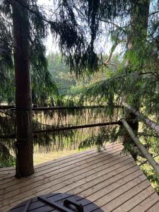 a wooden boardwalk with a tree and a lake at Nature calls - tree tent 2 in Būtingė