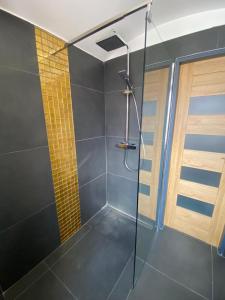 Koupelna v ubytování FiftyShades Apartmán s vířivkou