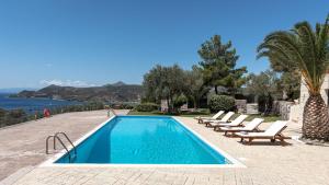 a swimming pool with lounge chairs and a palm tree at Aphaia Villa & Residences Aegina in Agia Marina Aegina