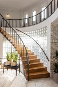 佩科霍里的住宿－Noemie Premium Holiday Apartments，盆栽植物房子的楼梯