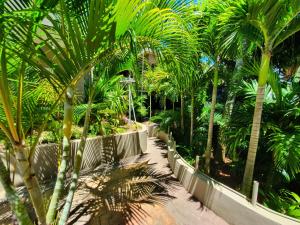 um caminho através de um jardim com palmeiras em Mavilla em Pereybere