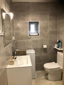 a bathroom with a sink and a toilet and a window at Le cheval d’en fer in Bégard