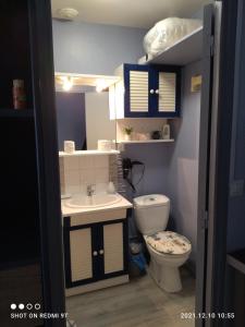 La petite salle de bains est pourvue d'un lavabo et de toilettes. dans l'établissement Résidence l'hippocampe, à Mers-les-Bains