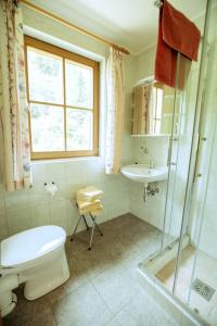 a bathroom with a toilet and a sink and a shower at Gamsberg Hütte in Pack