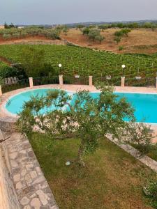 The swimming pool at or close to TENUTA MONTANARO