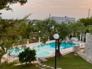 The swimming pool at or close to TENUTA MONTANARO