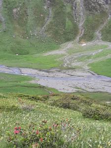 una vista de un campo de hierba y flores en Les Pioupious de Club Engaly 2 pour 4 personnes en Aragnouet