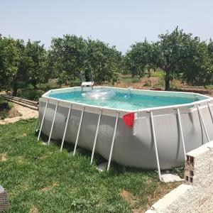 ein kleiner Pool in einem Boot im Gras in der Unterkunft villetta immersa nell'agrumeto in Noto Marina