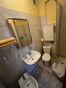 łazienka z umywalką, toaletą i lustrem w obiekcie Villa Centrum with access Kitchen w Zielonej Górze +14 zdjęć