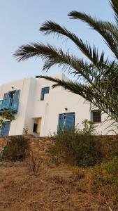 a white building with blue windows and a palm tree at Villa Mariza Kythnos in Kithnos
