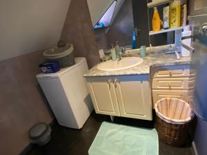 a bathroom with a sink and a vanity with a mirror at Bienvenue à Soledad notre havre de paix in Étaples +5 photos