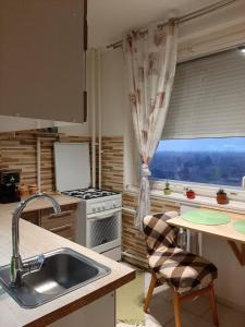 cocina con fregadero, fogones y ventana en Sunnyrise Apartman, en Hódmezővásárhely