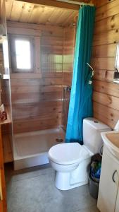 a bathroom with a toilet and a shower and a sink at Domek nad jeziorem Gowidlińskim in Podiazy