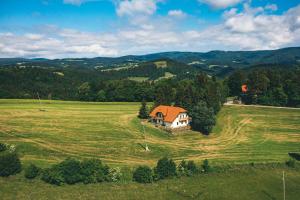 a house in the middle of a green field at Frešer Farm Accommodation 