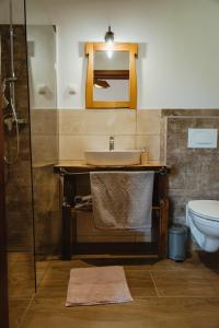 a bathroom with a sink and a toilet at Frešer Farm Accommodation 