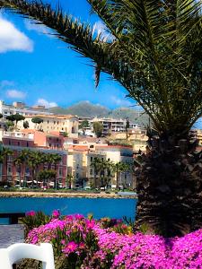 una palma e fiori accanto a una piscina di La Camera della Nonna 2.0 a Gaeta