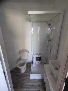 een kleine badkamer met een toilet en een douche bij Petit gîte de charme Bichta Eder in Magnac-Lavalette