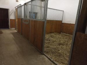 Foto de la galeria de Statek Straňovice a Malenitz