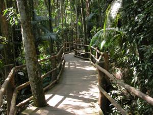 un pont en bois au milieu d'une forêt dans l'établissement Aguasclaras Residencial, à Manaus