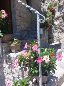 a bunch of flowers in pots on the side of a building at B&B CasaCaselle in Caselle in Pittari