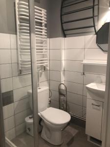 une petite salle de bain avec toilettes et lavabo dans l'établissement Willa Szyszka, à Karpacz 122 autres photos