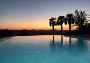 a swimming pool with palm trees and a sunset at Miataland in Collazzone