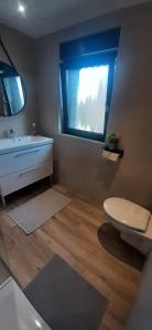 La salle de bains est pourvue de toilettes, d'un lavabo et d'une fenêtre. dans l'établissement Gites Ostheim, à Ostheim