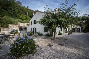 uma casa branca com uma árvore em frente em Agriturismo Le Volpi em Baone