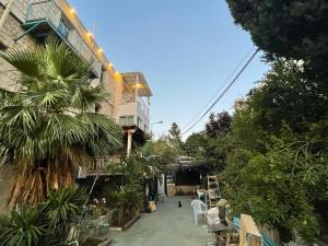 a building with a palm tree next to a building at Diamond Apartment In Haifa in Haifa