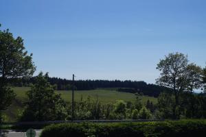 a view of a field with trees and a road at Hotel Pension De Gasterei in Winterberg