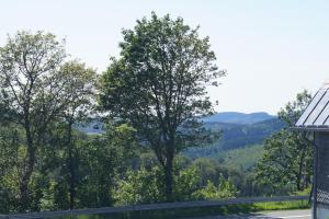 a view from the side of a road with trees at Hotel Pension De Gasterei in Winterberg