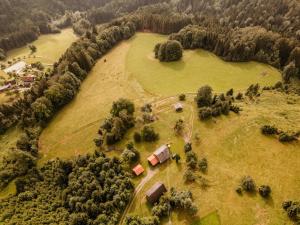 een luchtzicht op een veld met bomen en een boerderij bij Almhaus Kochjosel in Garanas