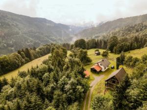 an aerial view of a house in the mountains at Almhaus Kochjosel in Garanas