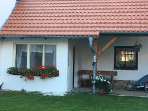 Jardí fora de Statek Straňovice
