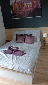 Apartament na urokliwym osiedlu Nadmorski Dwór tesisinde bir odada yatak veya yataklar