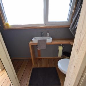 łazienka z umywalką i toaletą w obiekcie Tiny House w mieście Neusiedl an der Zaya