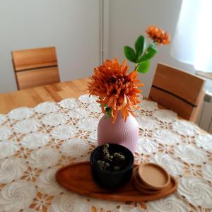 Foto sihtkohas Novi Banovci asuva majutusasutuse Che Private Rooms Banovci galeriist
