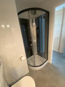 uma casa de banho com um WC e um espelho grande em Les Baux-Beaux em Les Baux-de-Provence