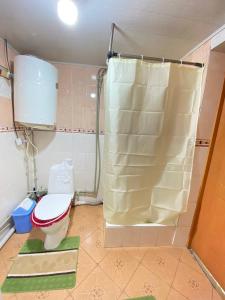 ein Bad mit WC und Dusche in der Unterkunft Rozalinda Guesthouse in Naryn